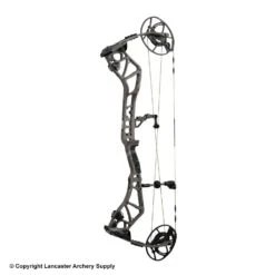 Bear Execute 30 Compound Hunting Bow -Excalibur Shop 1033132 stone