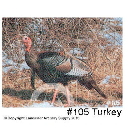 Delta McKenzie Tru-Life Small Animal Target Face 2 Delta McKenzie Tru-Life Small Animal Target Face