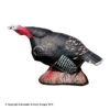 Delta McKenzie Gobbling Turkey Pro 3D Target 1 Delta McKenzie Gobbling Turkey Pro 3D Target -Excalibur Shop 3120048