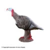 Rinehart Tom Turkey Target -Excalibur Shop 5650007