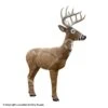 Rinehart Woodland Jimmy Big Tine Target 2 Rinehart Woodland Jimmy Big Tine Target -Excalibur Shop 5650234