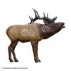 Rinehart 1/3 Scale Woodland Elk Target 1 Rinehart 1/3 Scale Woodland Elk Target -Excalibur Shop 5650237