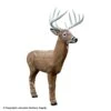 Rinehart Midwest Buck Target -Excalibur Shop 5650242 0178ed93 38bc 4c94 a04d afed989a6d31
