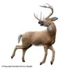 Rinehart Kicking Deer Target -Excalibur Shop 5650258