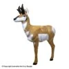 Rinehart Woodland Antelope 3D Target 2 Rinehart Woodland Antelope 3D Target -Excalibur Shop 5650272