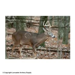 NiceTargets Deer Targets -Excalibur Shop 8860002 broadright