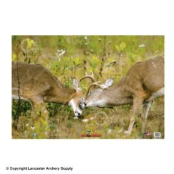 NiceTargets Deer Targets -Excalibur Shop 8860002 fight