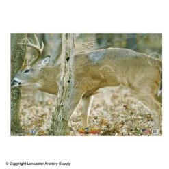 NiceTargets Deer Targets -Excalibur Shop 8860002 front