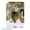 NiceTargets Deer Targets 1 NiceTargets Deer Targets -Excalibur Shop 8860002 qtraway