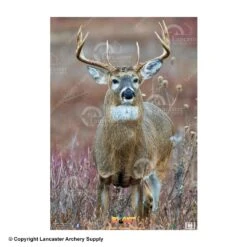 NiceTargets Deer Targets -Excalibur Shop 8860002 straighton